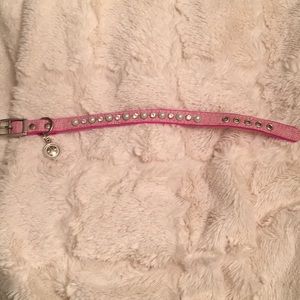Dog Collar!